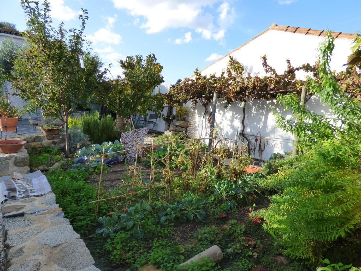 Solar Da Cumeada Bed & Breakfast Reguengos de Monsaraz Luaran gambar