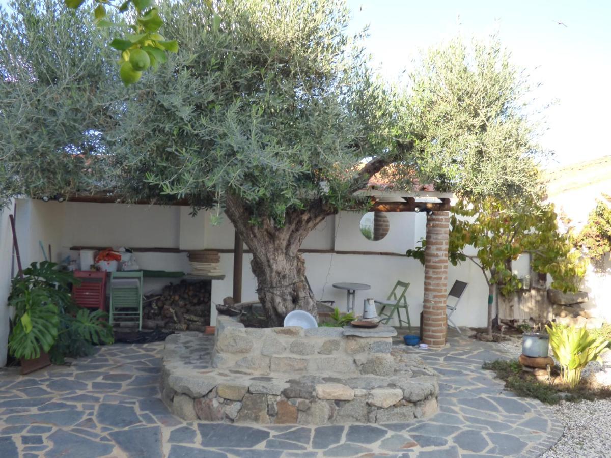 Solar Da Cumeada Bed & Breakfast Reguengos de Monsaraz Luaran gambar