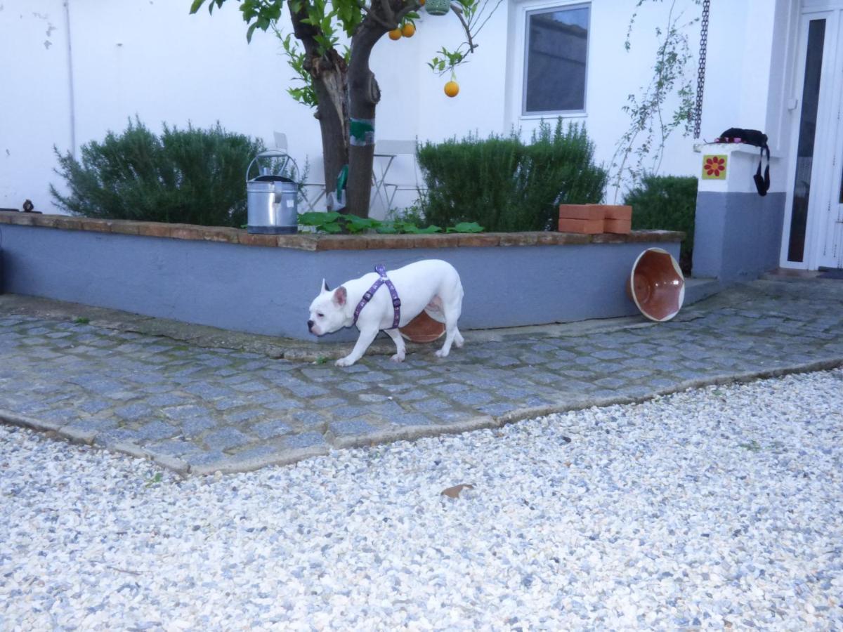 Solar Da Cumeada Bed & Breakfast Reguengos de Monsaraz Luaran gambar